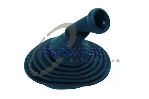 Balg